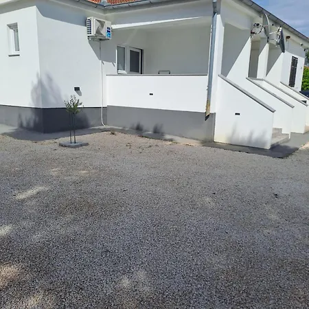 Frane סלינה